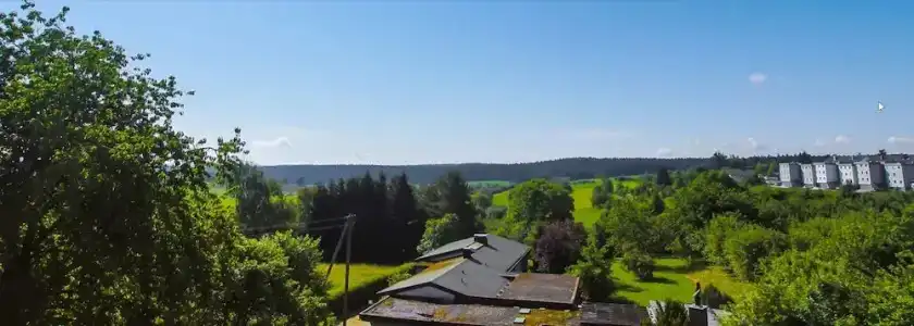 Traube Lossburg - 26