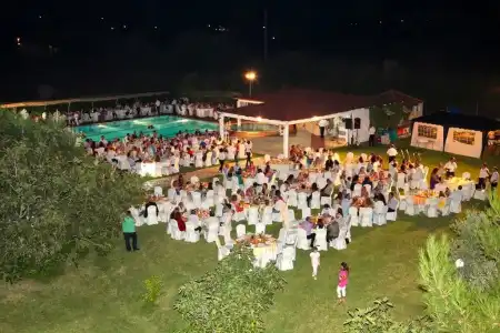 Palatino - 19
