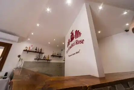 Le Undici Rose - 20