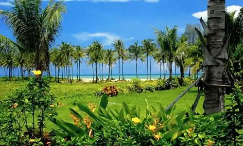 Andamania Beach Resort - 60