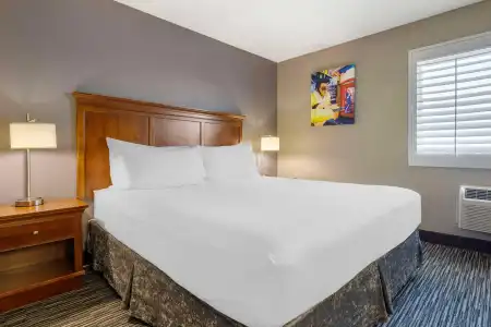 Best Western McCarran Inn - 6