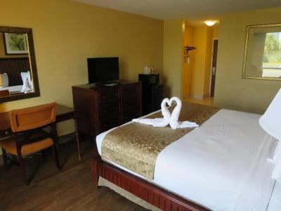 B&B Orlando International Drive Near Universal - Newly Renovated! - 59