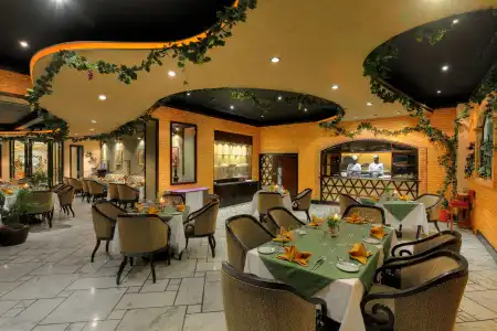Radisson Kathmandu - 14