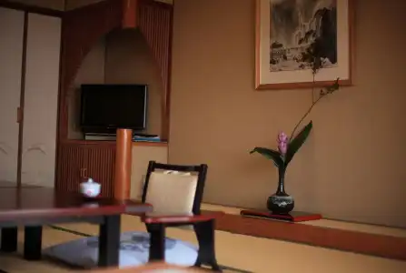 Kagoshima Sunamushi Onsen Ibusuki Hakusuikan - 1