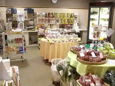 Grand Sunpia Hachinohe - 10