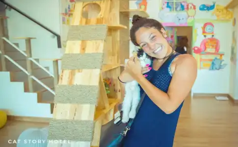 Cat Story - 14