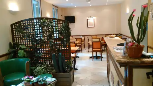 Hôtel Cactus - 16