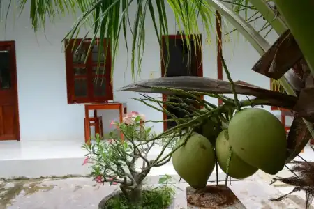 Diem Lien Guesthouse - 30