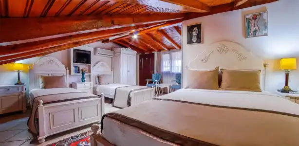 La Paloma - 4