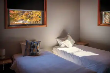Phoenix Cocoon - 60