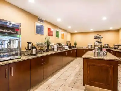 Comfort Inn Anaheim Resort - 38