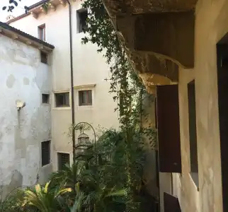Gabbia d'Oro - 19