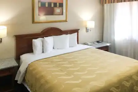 Quality Inn & Suites Oceanside near Camp Pendleton - 34