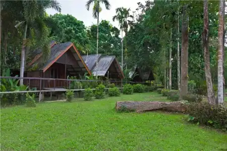 Khao Sok Riverside Cottage - 75