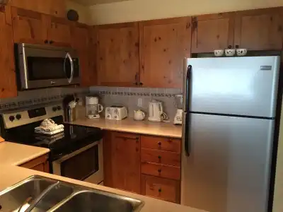 Whistler Superior Properties - 11