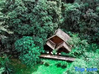 Khao Sok Riverside Cottage - 99