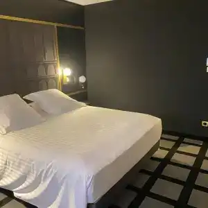 Mercure Orléans Centre - 46