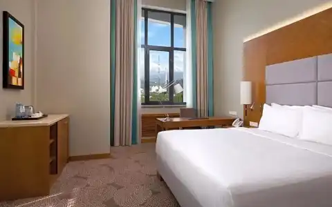 DoubleTree by Hilton Almaty - 29
