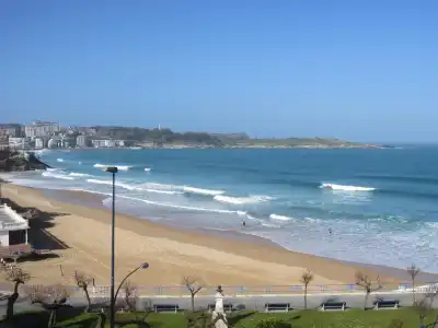 Dorma Sardinero - 12