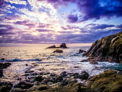 Costa Art Laguna Beach - 14