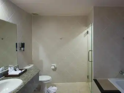 ibis Singapore Novena - 9