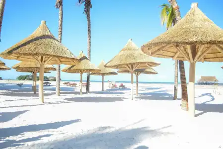 TOA & Spa Zanzibar - 8