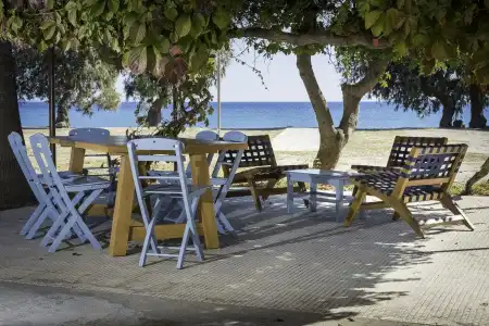 Olympia Mare - 16