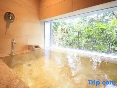 Grand Bach Atami Crescendo - 51