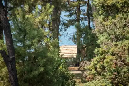 Kobuleti Garden Inn - 14