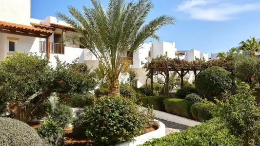 Alexander Beach & Village Resort - 193