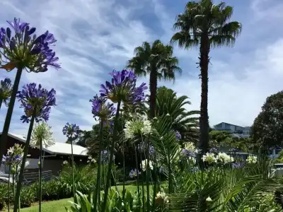 Half Moon Bay Motel - 164
