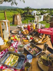 Green Land Bubble Glamping - 8