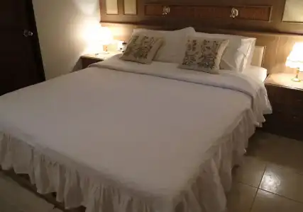 Saku Boutique Homestay - 4