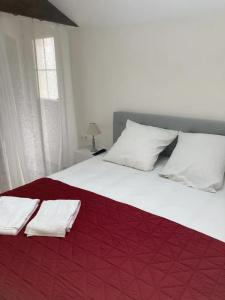 Hôtel Le St Patrice - 111