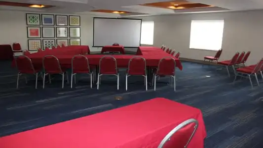 Holiday Inn Express Orlando S. Davenport - 17