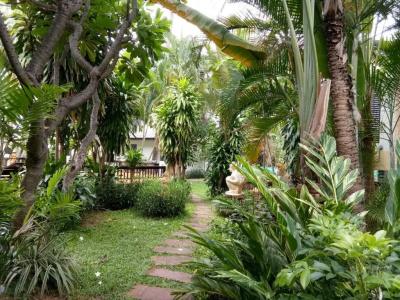 Golden Pine Beach Resort - 53