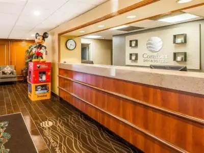 Comfort Inn Anaheim Resort - 17