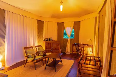 9 Hornbills Tented Camp - 62