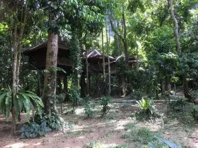 Khao Sok Nature Resort - 5