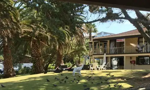 Half Moon Bay Motel - 86