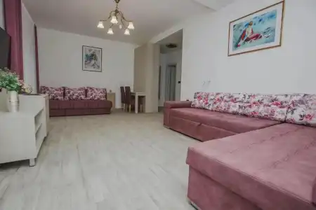 Dapčević - 67