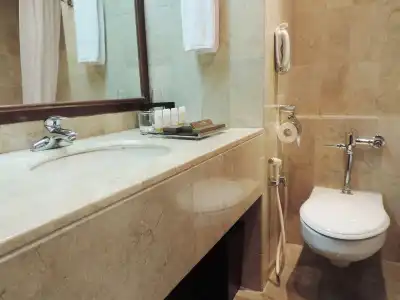 Aryaduta Menteng - 8