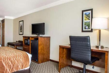Comfort Inn & Suites Durango - 53