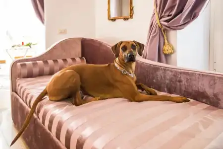 Trastevere Royal Suite - 68