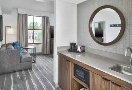 Hampton Inn & Suites Saratoga Springs Downtown - 40