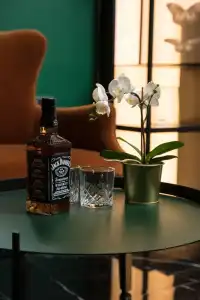 Joseph TLV - 101