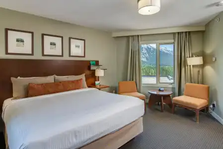 The Juniper - 28