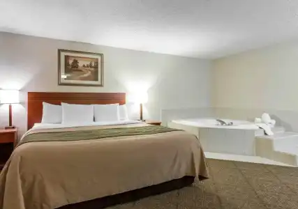 Comfort Inn at the Zoo - 3