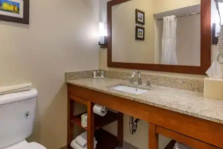 Comfort Suites Raleigh Walnut Creek - 57