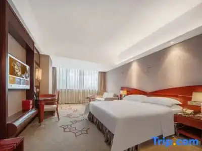 Cinese Dongguan - 50